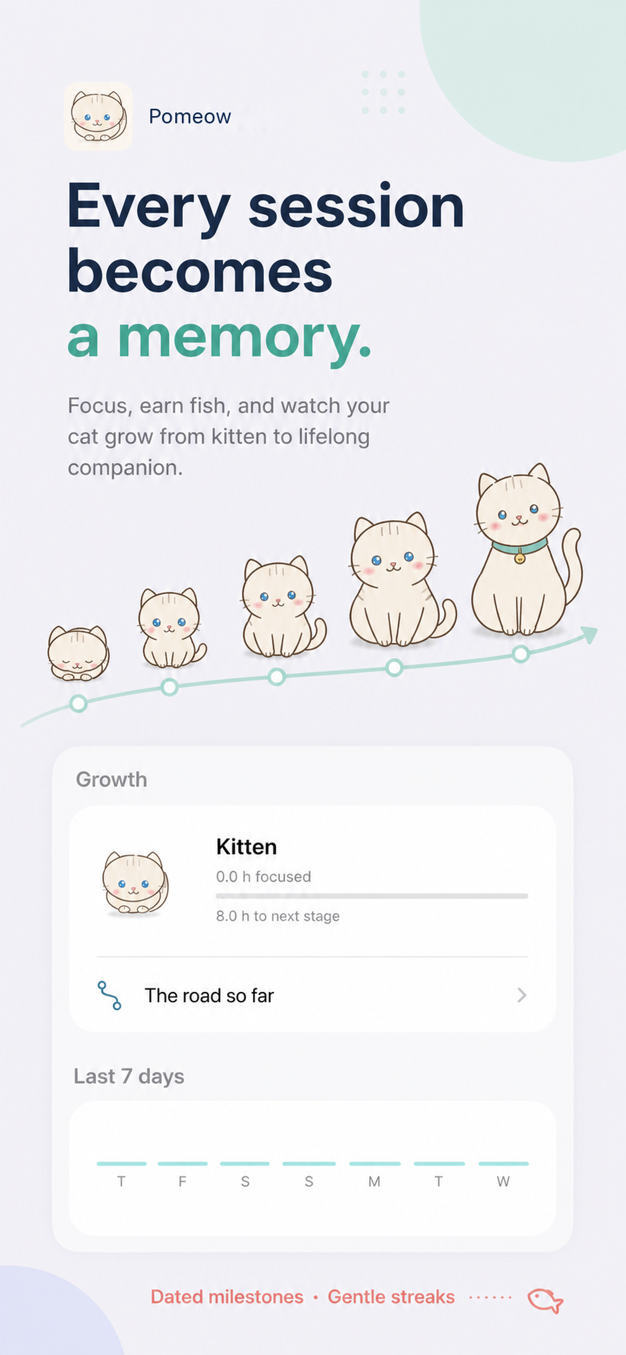 Pomeow cat growth journey and dated focus memories