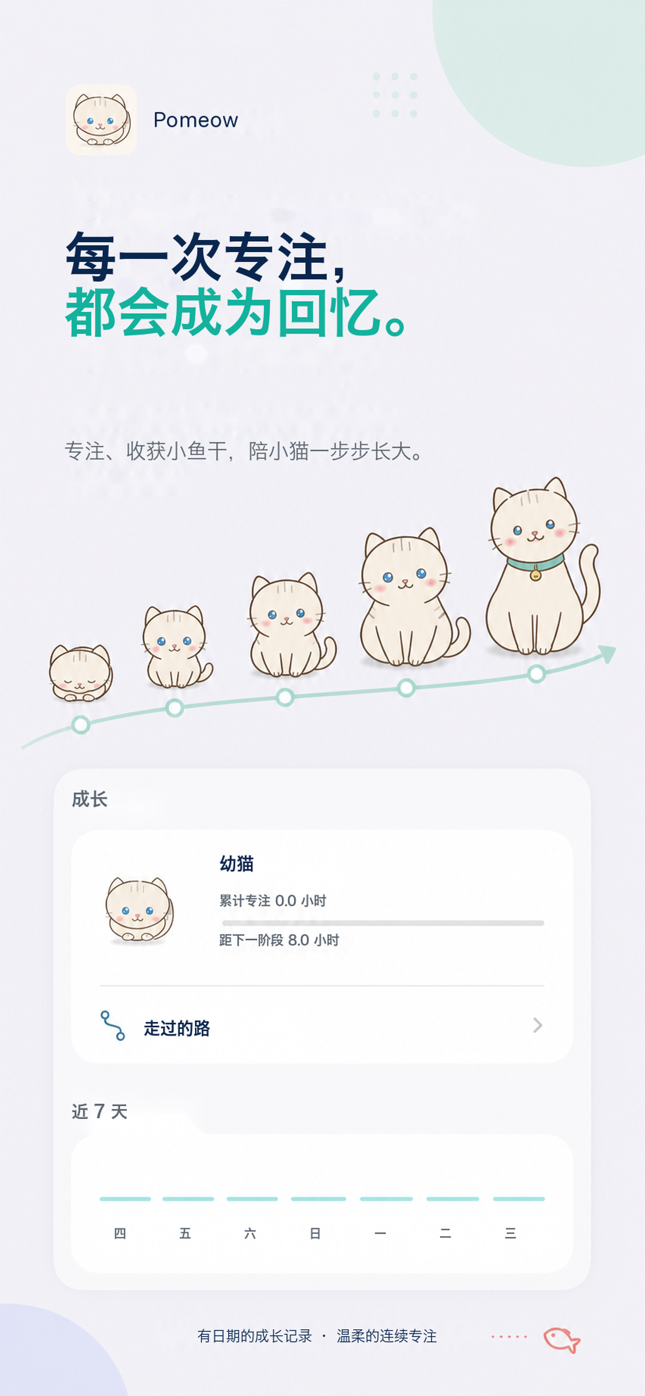 番茄喵喵的猫咪成长旅程与专注回忆